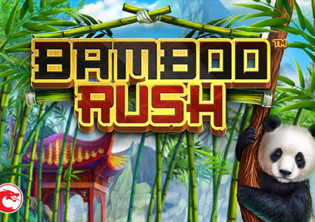 Bamboo Rush Game Review