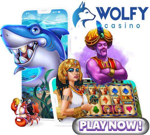 3. Wolfy Casino