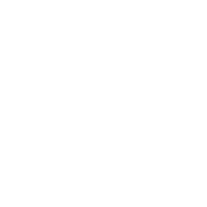 Mixed Martial Arts (MMA)