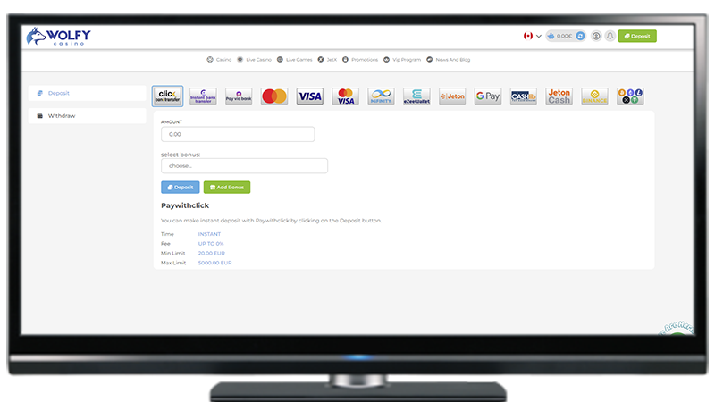 Wolfy Casino Payment Methods