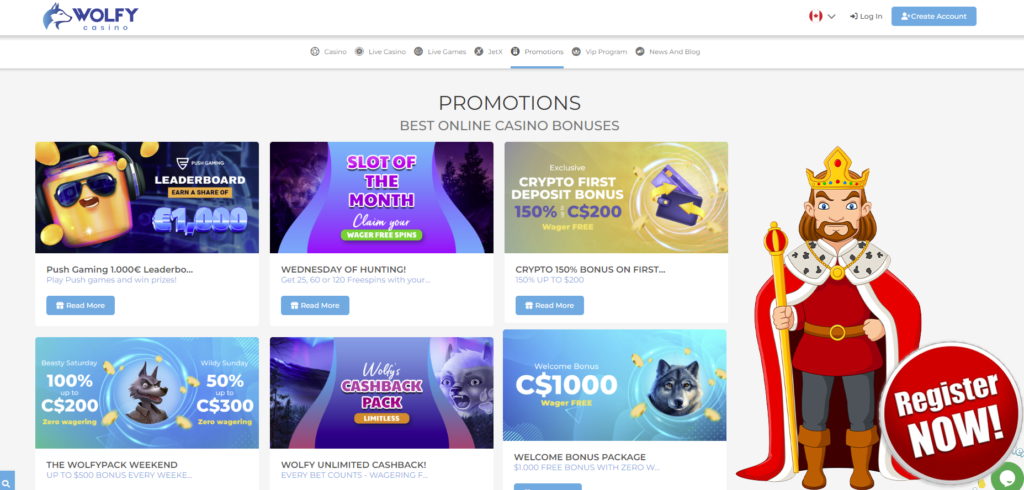 Wolfy Casino Welcome Bonus & Promotions