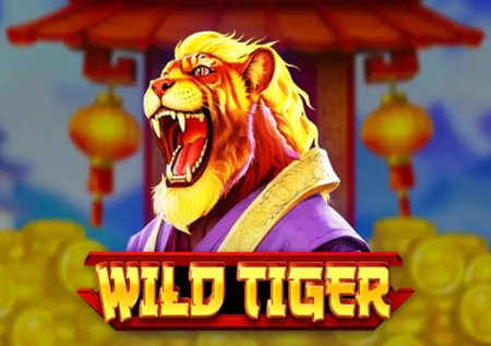 Wild Tiger Game Review