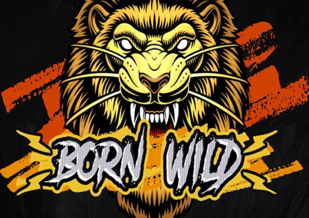 Born Wild Game Review