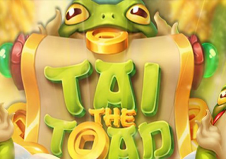 Tai The Toad Game Review