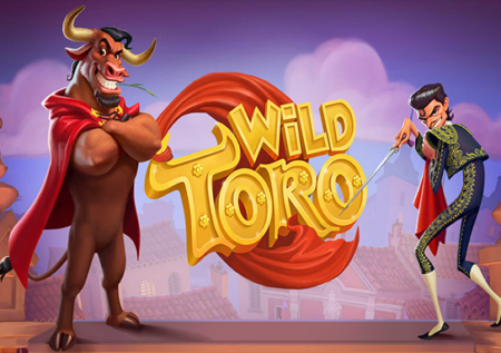 Wild Toro Game Review