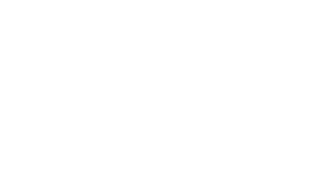 AviatriX